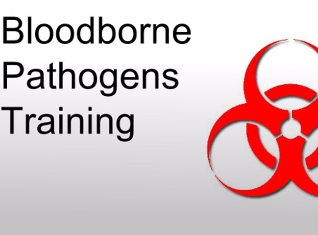 Workplace Safety: Bloodborne Pathogens