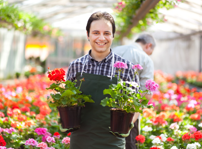 workplace safety: protecting employees